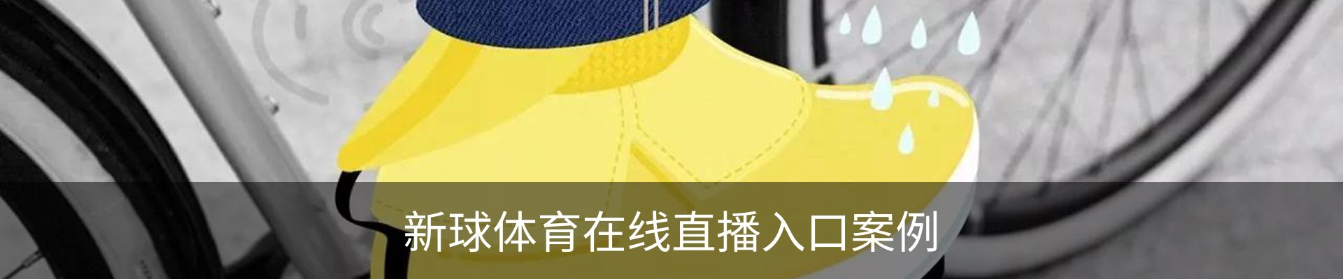 新球体育在线直播入口案例