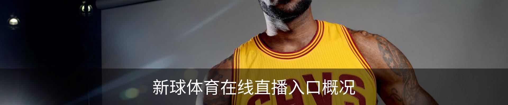 新球体育在线直播入口概况